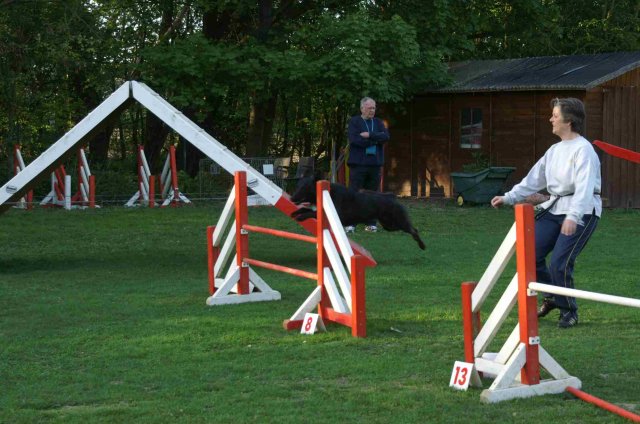 agility 2011-04